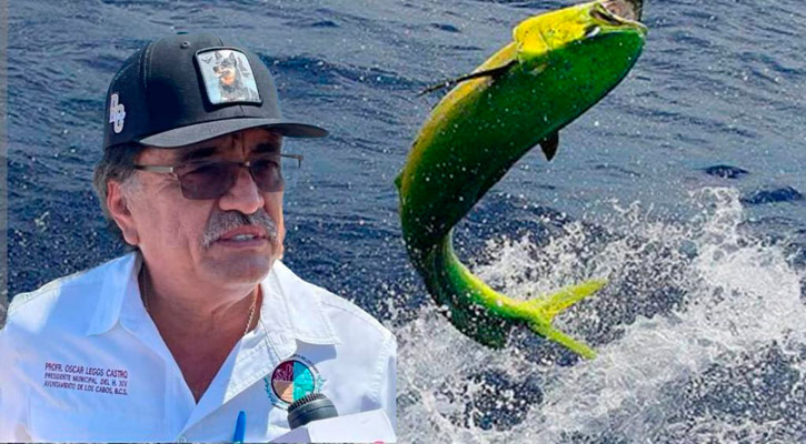 Se pronuncia el Alcalde de Los Cabos por un rotundo no a que el dorado se abra a la pesca comercial