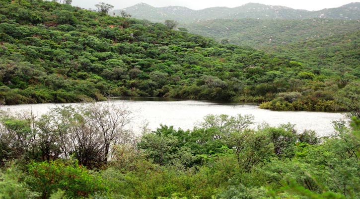 Insiste Alcaldesa de La Paz en su intención de tener una nueva presa