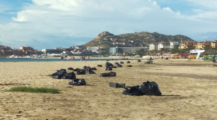 Retiran residuos sólidos de las playas de Los Cabos