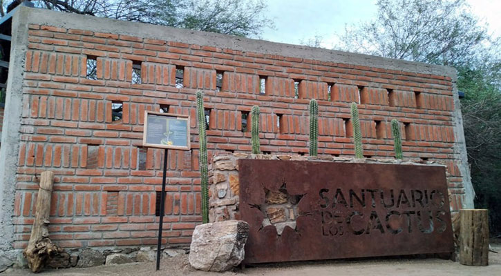 Invita UABCS al primer Festival de Aves del Santuario de Los Cactus en Ejido El Rosario