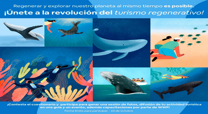 Lanzan convocatoria para fortalecer el turismo regenerativo en BCS