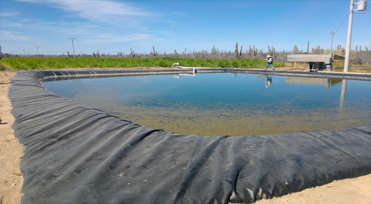 Trabajan en proyectos para construir obras de retención de agua en BCS