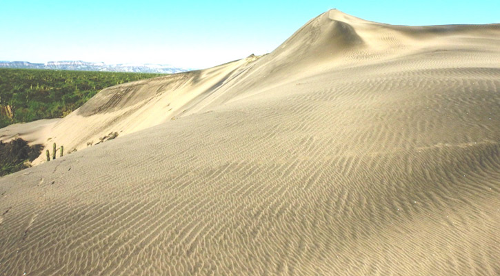 Realizan estudio de caracterización de dunas en El Mogote y Puerto Chale Realizan estudio de caracterización de dunas en El Mogote y Puerto Chale