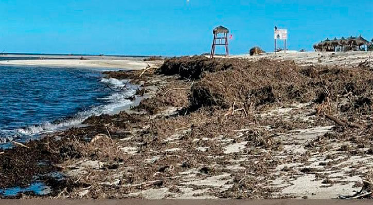 Realizarán jornada de limpieza en la playa El Surgidero en La Ribera