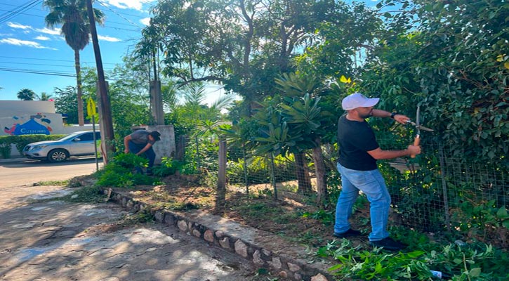 Reforestan diversas colonias de Miraflores