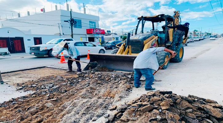 Inician trabajos de bacheo en la calle Aguajitos en CSL Inician trabajos de bacheo en la calle Aguajitos en CSL