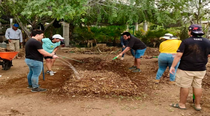 Impartieron en la UABCS curso para la elaboración de composta Impartieron en la UABCS curso para la elaboración de composta