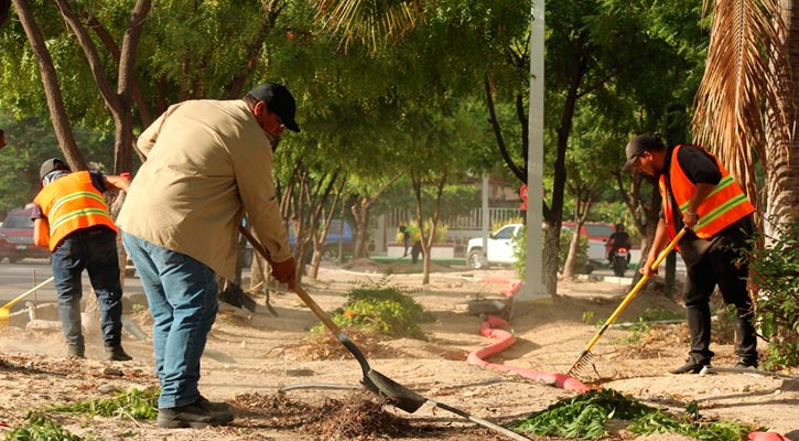 Programa de empleo temporal por daños de “Norma” en La Paz, se extendería a enero