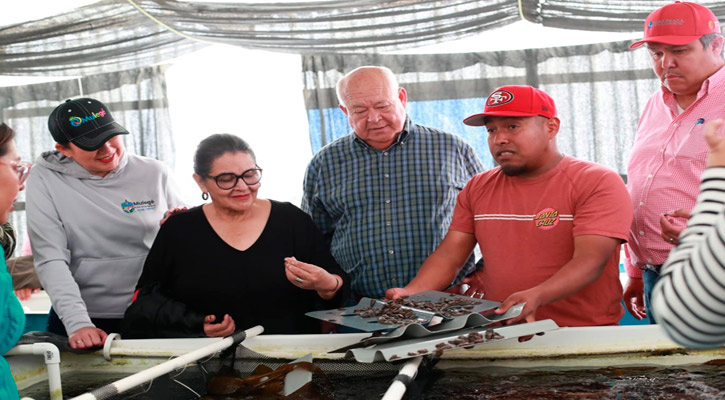 Anuncia el Gobernador importantes obras para Isla Natividad, Bahía Tortugas y Punta Eugenia