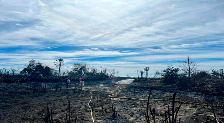 Confirman autoridades que el reciente incendio en el Estero de SJC fue provocado
