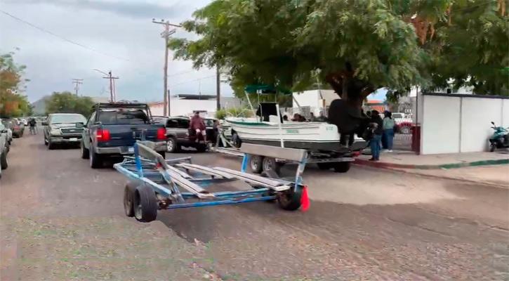 Exigen permisos prestadores de servicios para el avistamiento del tiburón ballena en La Paz