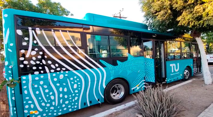 Aumentaría a 45 número de nuevas unidades del transporte en La Paz