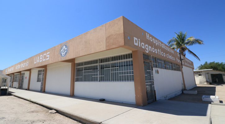 Fortalecerá sus servicios este año el Hospital Veterinario de la UABCS Fortalecerá sus servicios este año el Hospital Veterinario de la UABCS