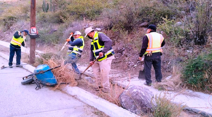 Limpian 600 metros lineales de la subida del Pedregal del Cortés en La Paz Limpian 600 metros lineales de la subida del Pedregal del Cortés en La Paz