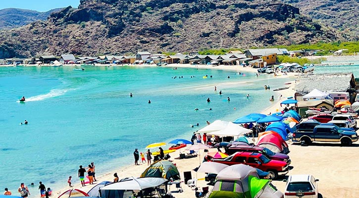 Llaman a vacacionistas a seguir medidas para evitar mordeduras de serpientes o picaduras de araña