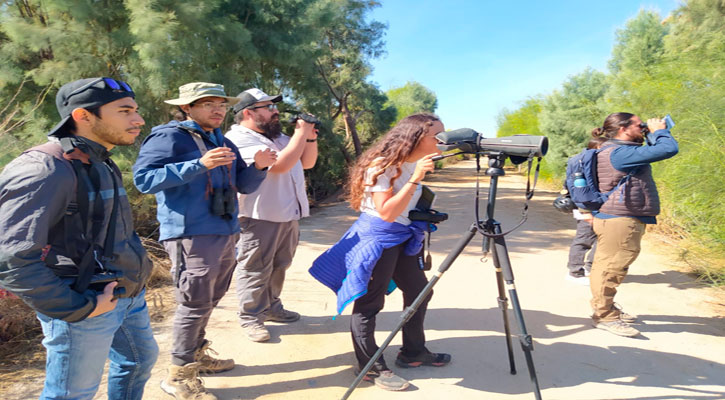 Invita la UABS a su Festival de Aves Playeras en la Ensenada de La Paz