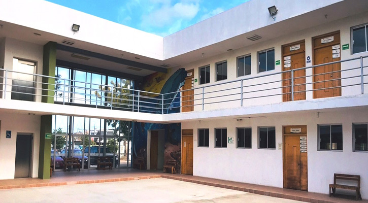 Ofrece el Centro de las Artes de La Paz cursos de iniciación artística