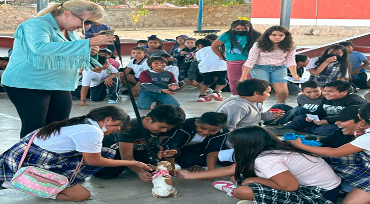 Fomentan el cuidado y respeto a las mascotas en Los Cabos Fomentan el cuidado y respeto a las mascotas en Los Cabos