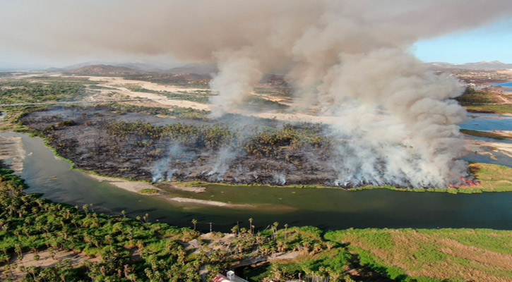 Daños a 33 hectáreas es el resultado preliminar del incendio en el Estero de SJC