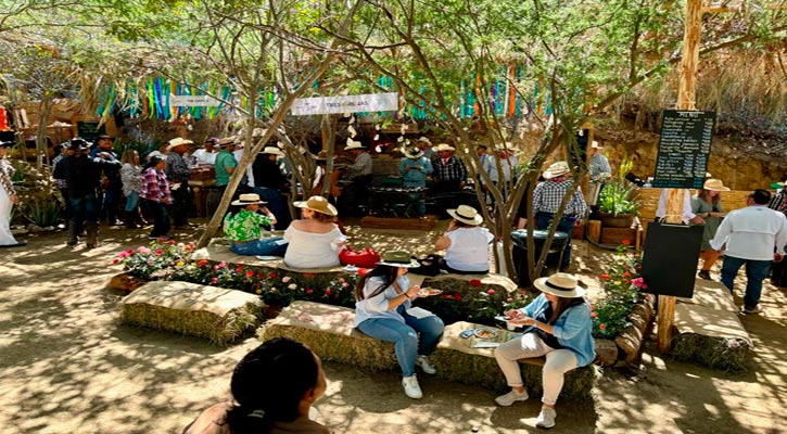 Se consolida el evento gastronómico Sabor a Cabo Rural