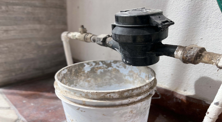 Llamado a estar alertas ante síntomas por dengue: IMSS Llamado a estar alertas ante síntomas por dengue: IMSS