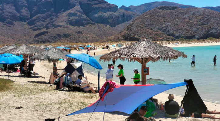 Hay que cuidar el viaje en estas vacaciones, pero también asegurar la casa