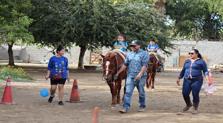 Ofrecen de forma permanente equinoterapia en Los Cabos Ofrecen de forma permanente equinoterapia en Los Cabos