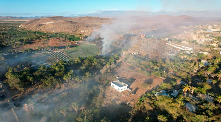 Provocó incendio en palmares de Todos Santos la afectación de 4 hectáreas