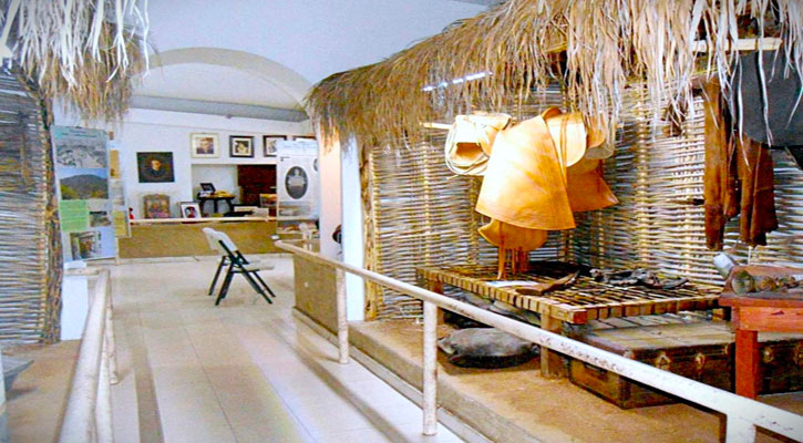 Se busca incrementar el número de visitantes al Museo de Historia Natural de CSL