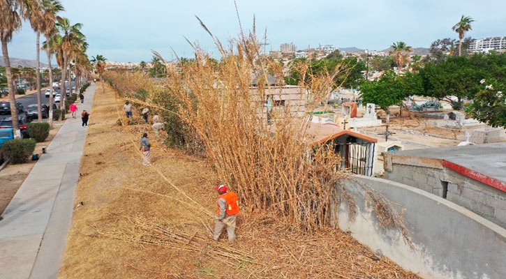 Intensa jornada de limpieza en el céntrico panteón de SJC Intensa jornada de limpieza en el céntrico panteón de SJC