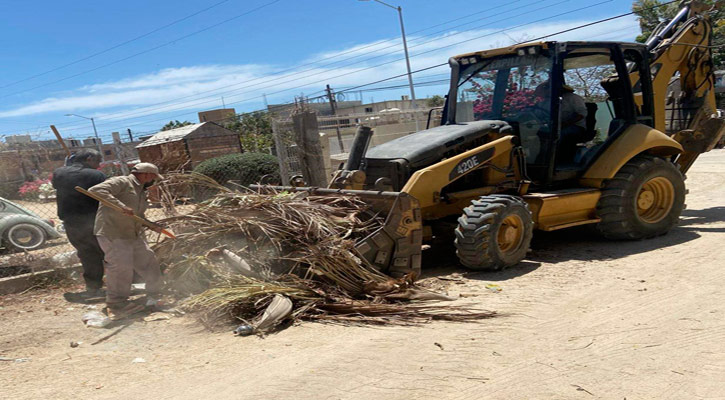 Previenen y eliminan basureros clandestinos en Los Cabos