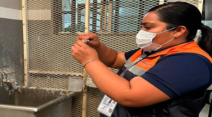 Se han detectado 25 casos de hepatitis A de finales de enero a la fecha en BCS