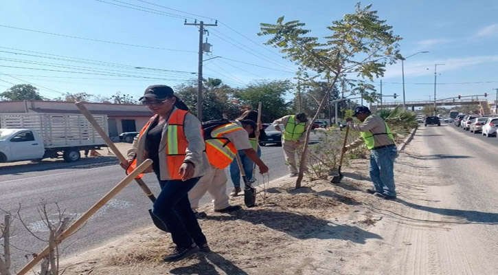 Implementan riego sistemático en áreas verdes de camellones en SJC Implementan riego sistemático en áreas verdes de camellones en SJC