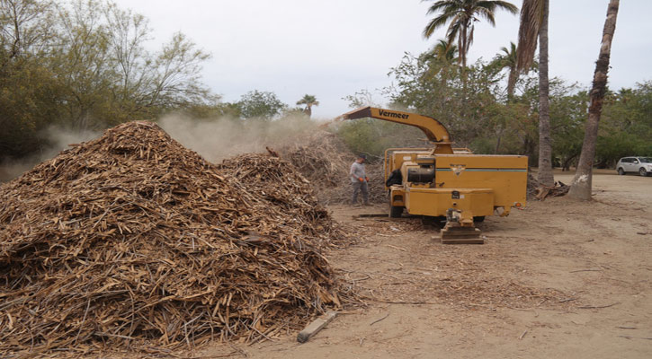 Retiran diariamente 8 toneladas de desechos del Estero josefino