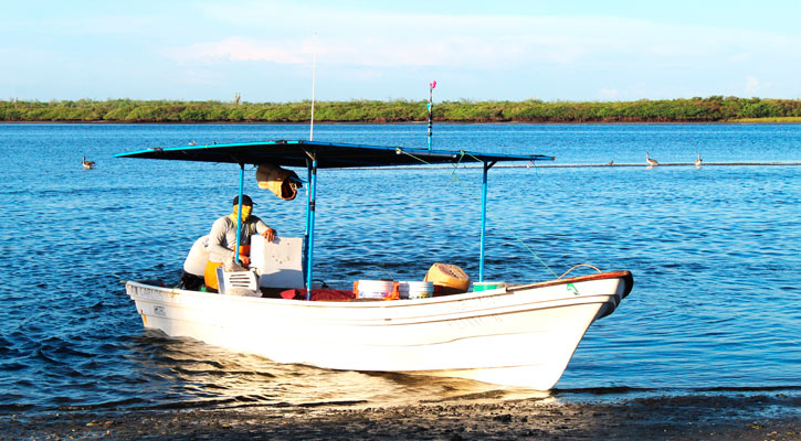Buscan certificación positiva del Golfo de Ulloa para evitar un embargo comercial de EU a México