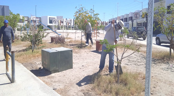 Efectuaron la limpieza de 10 parques en La Paz