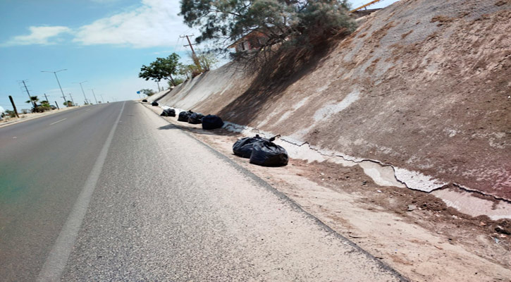 Limpian laterales de la Transpeninsular cercano al Aeropuerto para mejorar condiciones de aseo Limpian laterales de la Transpeninsular cercano al Aeropuerto para mejorar condiciones de aseo