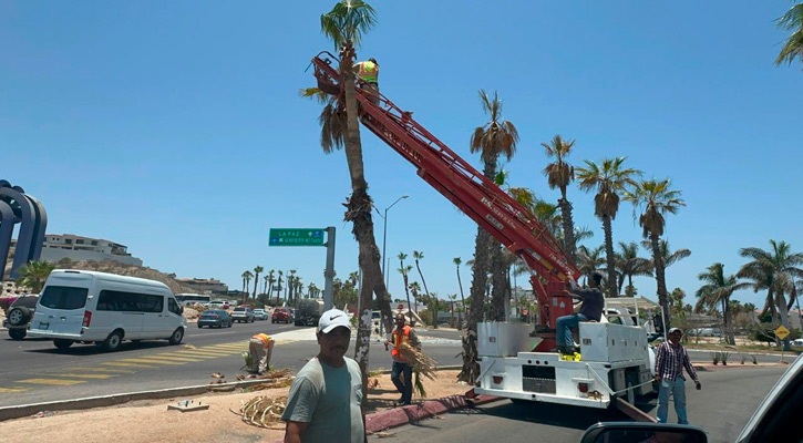 Realizan labores de limpieza en la glorieta de Fonatur en SJC