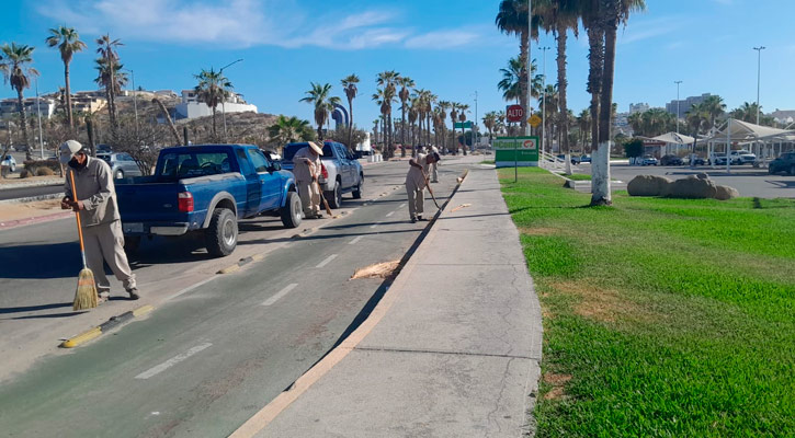Realizan labores de limpieza en la zona hotelera de SJC; embellece y da seguridad a ciudadanos