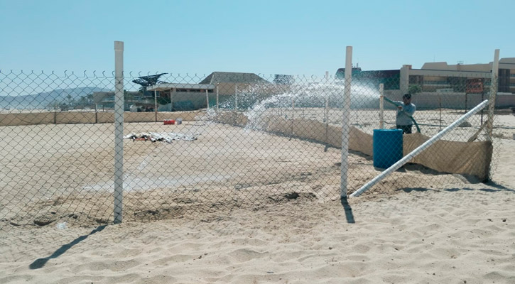 Riegan nidos de incubación de tortuga en Los Cabos para mantener su humedad y preservar estas especies