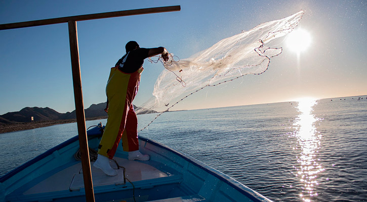 Pesca comercial y deportiva, en contra de pretensión de limitarlos en el Golfo de California