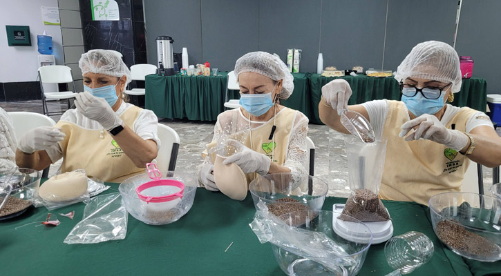 Elabora Voluntariado IMSS en BCS prótesis artesanales para mujeres que padecieron cáncer