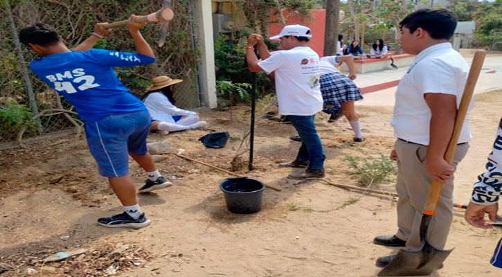 Participaron estudiantes en ampliar las áreas verdes en escuelas de Los Cabos