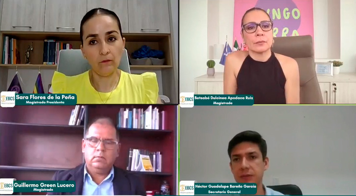 Avala Tribunal Electoral plurinominales de PT-PVEM y Nueva Alianza en el Congreso de BCS Avala Tribunal Electoral plurinominales de PT-PVEM y Nueva Alianza en el Congreso de BCS