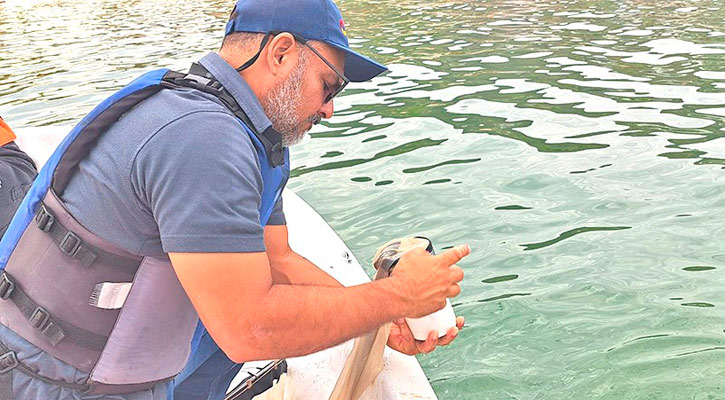 Descartan presencia de marea roja en la bahía de La Paz