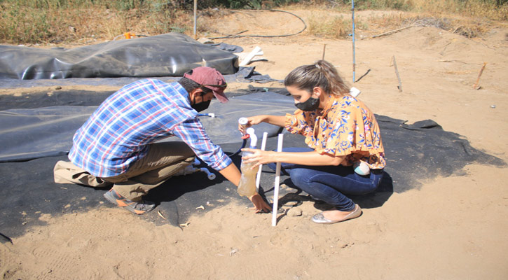 Promueve la UABCS el uso de biodigestores y humedales artificiales para tratar aguas residuales Promueve la UABCS el uso de biodigestores y humedales artificiales para tratar aguas residuales