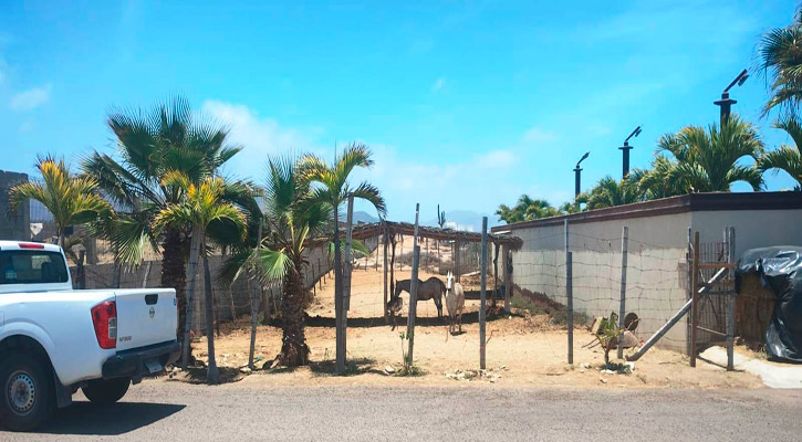 Supervisa gobierno de La Paz obstrucción de vía pública en Cerritos