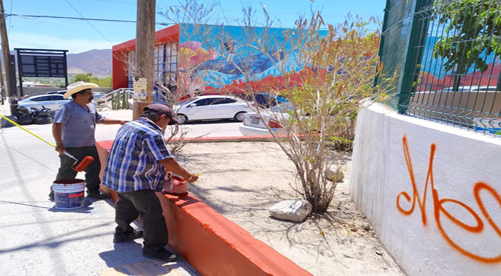 Pintan parque de la colonia Lomas Altas en CSL