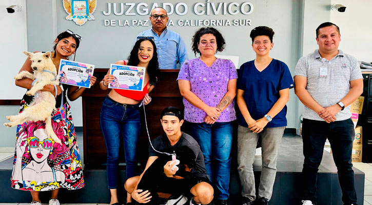 Conoce los requisitos básicos para adoptar una mascota de compañía en La Paz