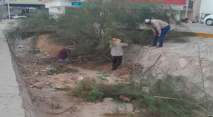 Intensifican acciones de limpieza en canales pluviales ubicados en SJC